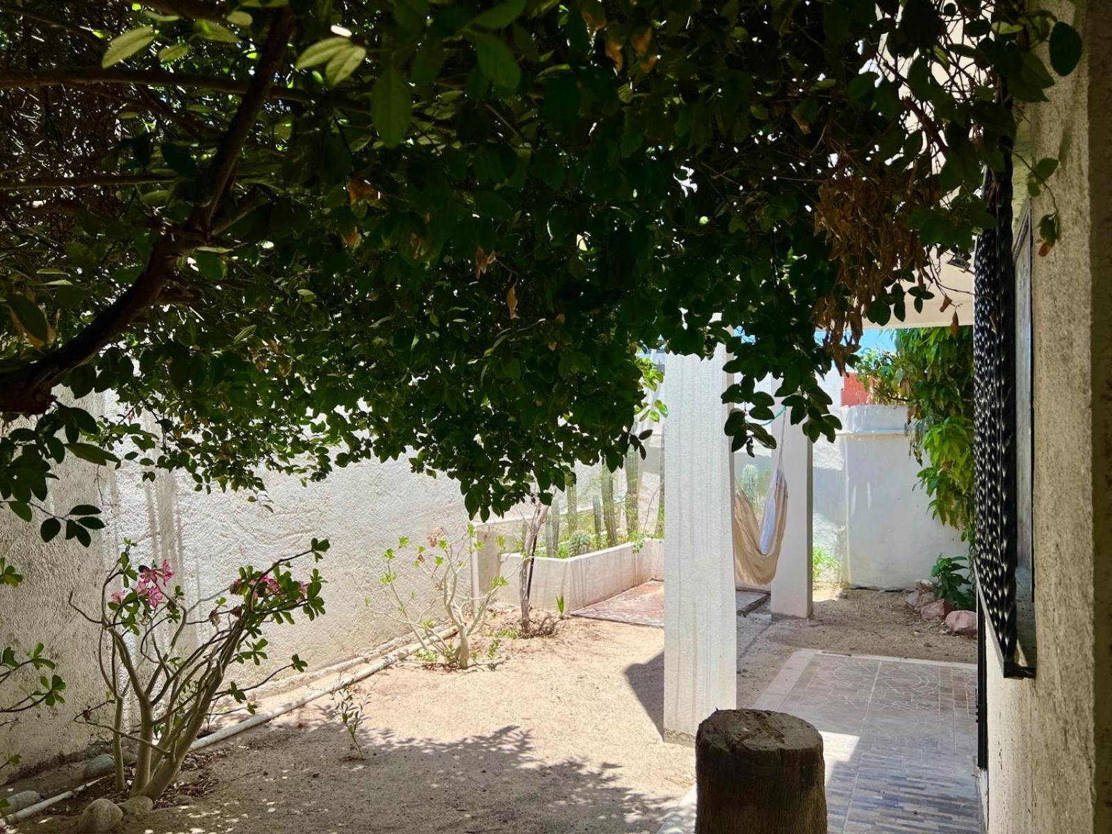 라파스 La Casa Del Pescador 아파트 외부 사진